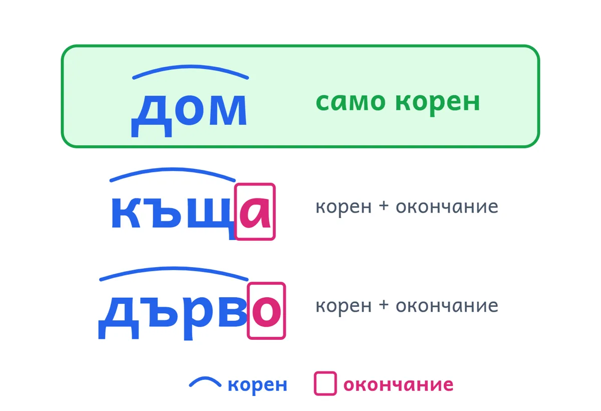 „дом“ е оцветена цялата като корен; в „къщ-а“ и „дърв-о“ последната буква е отделена като окончание