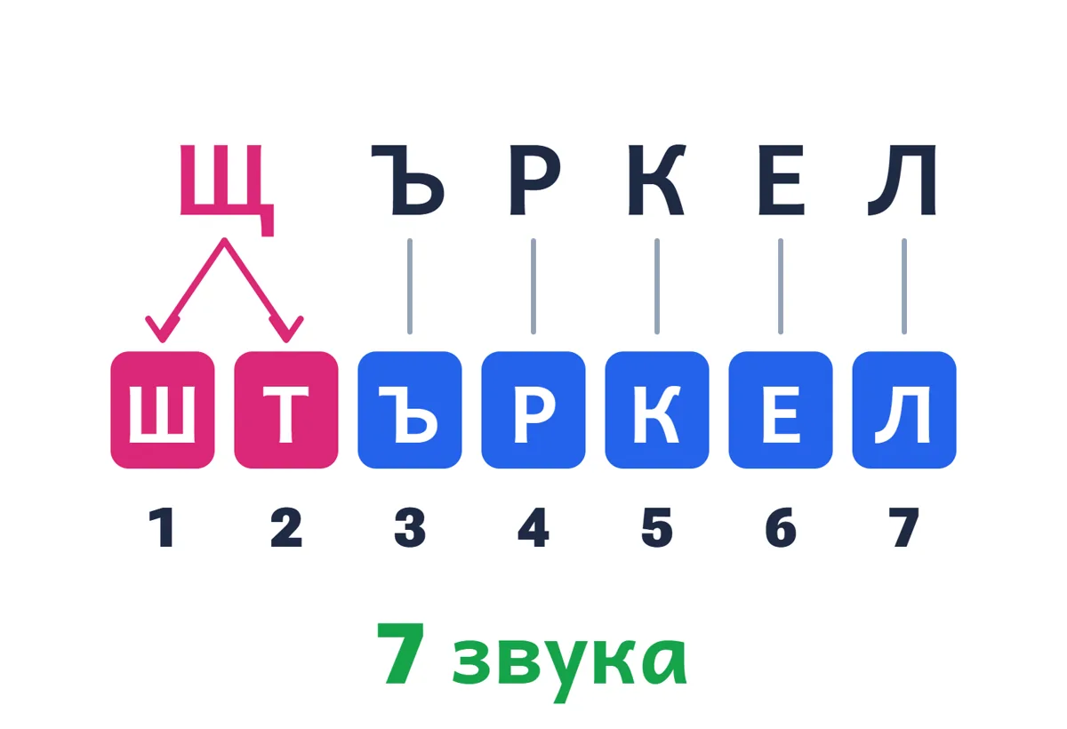 Щ-Ъ-Р-К-Е-Л, буквата Щ се разделя на Ш и Т, отдолу звуковете са номерирани от 1 до 7